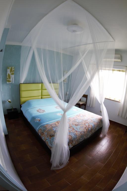 파멜라 Casa Das Andorinhas B&B 외부 사진